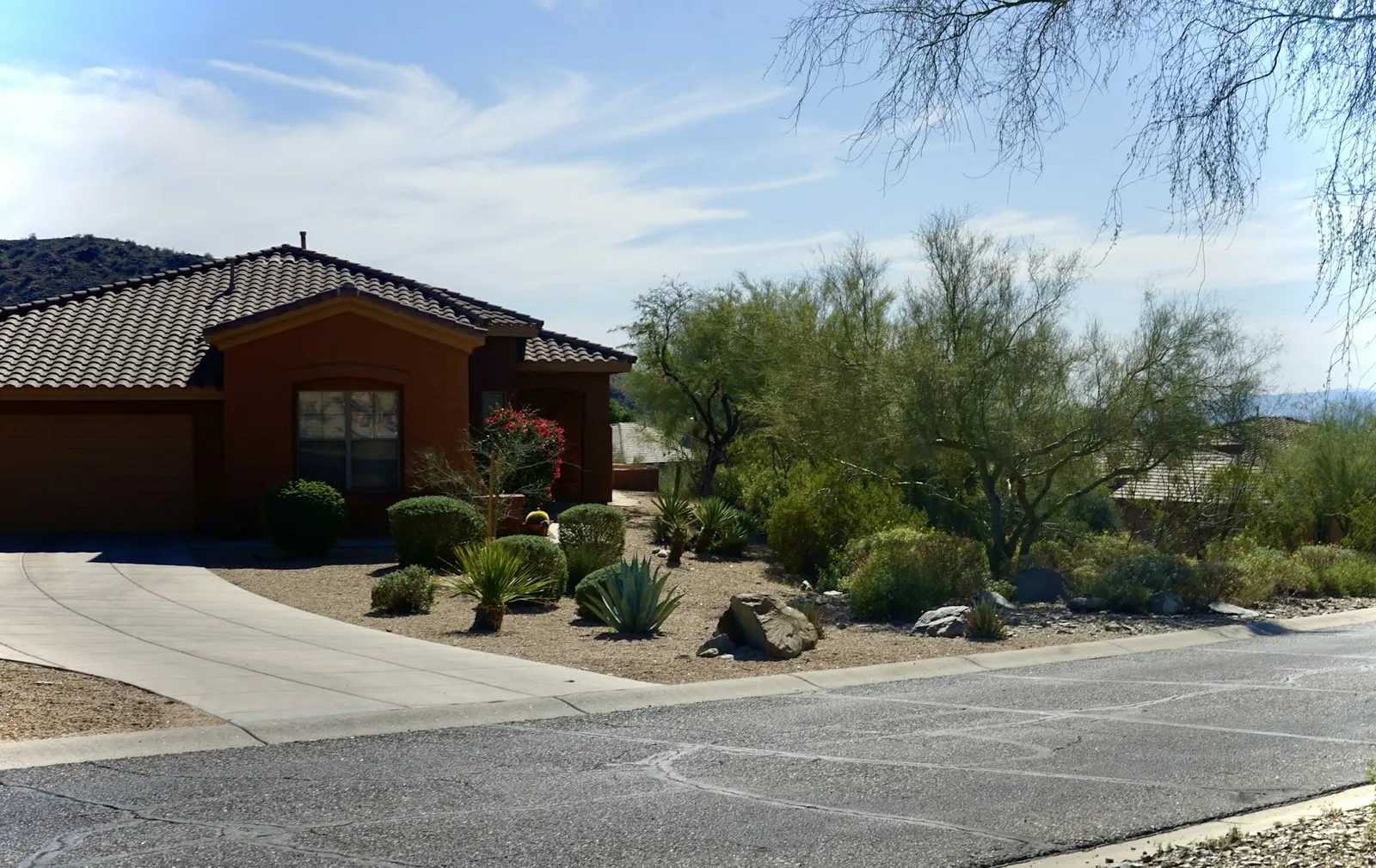 A single-storey Arizona home with desert landscaping under a clear sky